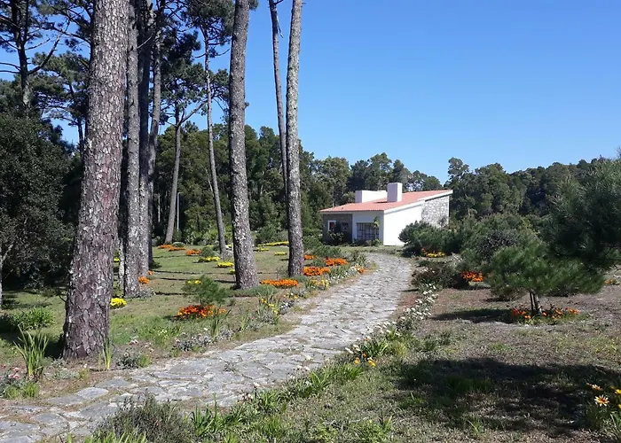 Casa Do Sol * Moledo (Viana do Castelo)